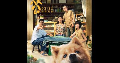 Sinopsis Film Hachiko (2023): Kisah Anjing Setia