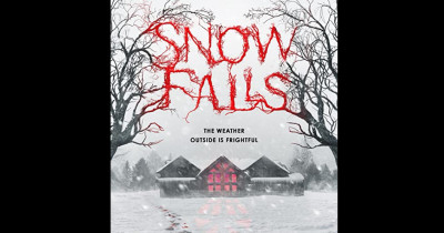 Sinopsis Film Snow Falls (2023): Terjebak di Kabin Akibat Badai Salju
