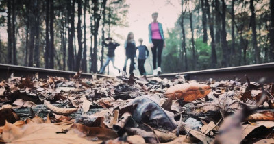 Sinopsis Film As Perennial as the Grass (2023): Lingkaran Setan Kegilaan dan Tragedi