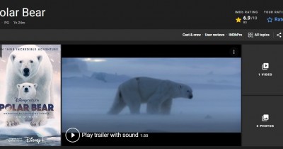Sinopsis Film Polar Bear (2022): Dokumentasi kehidupan beruang putih